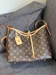 Louis Vuitton M46203 CarryAll PM photo review