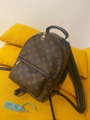 Louis Vuitton Monogram M44871 Palm Springs PM photo review